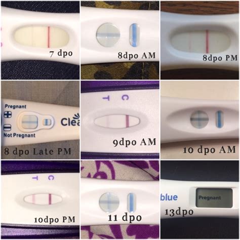 Nausea 5 dpo - 4 dpo - very faint achy feeling in bbs, small amount of white creamy CM. 5 dpo - gassy, bubbly belly, backache, white creamy cm. 6 dpo - felt sickly in the AM, gas pains, very soft stool, white creamy cm, twinges in uterus. 7 dpo - sides of bbs are sore, off and on, cramps. 8 dpo - white creamy cm, vivid dream.